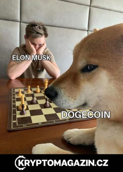 MEME