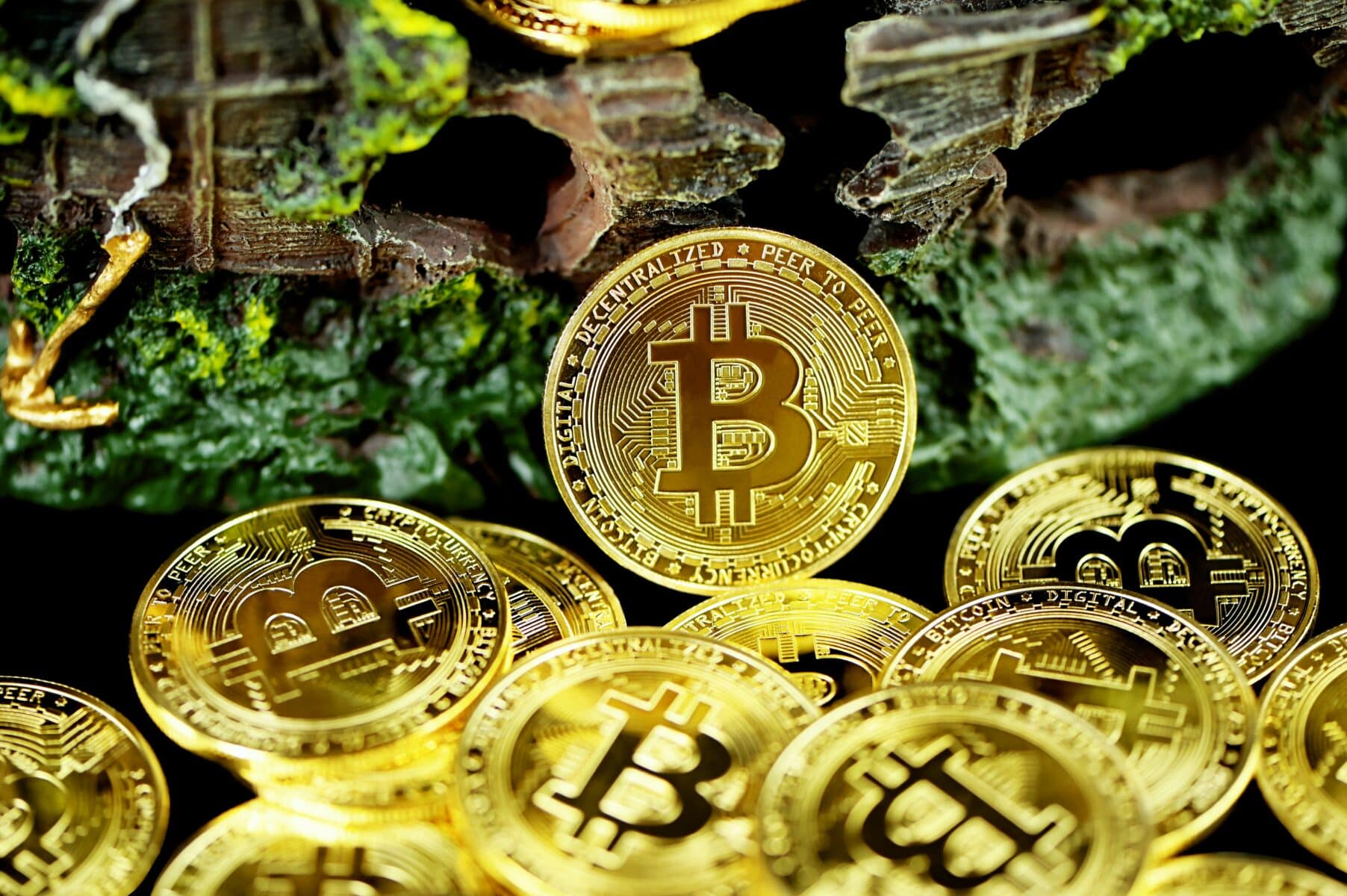 ark bitcoin