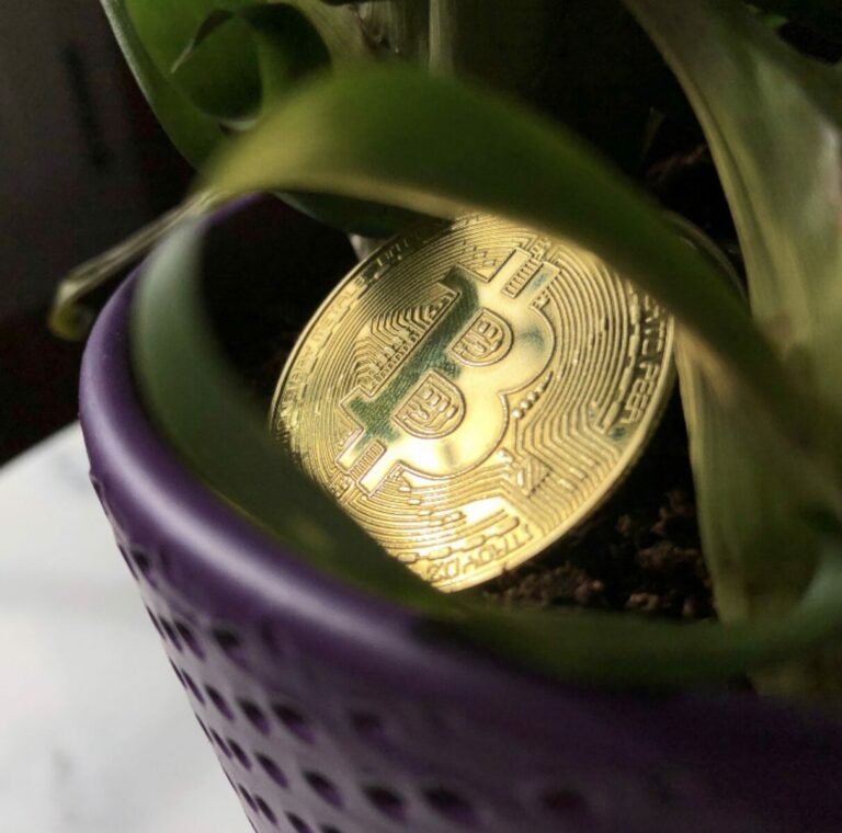 Tone Vays si myslí, že se bitcoinový bull market prodlouží do příštích let