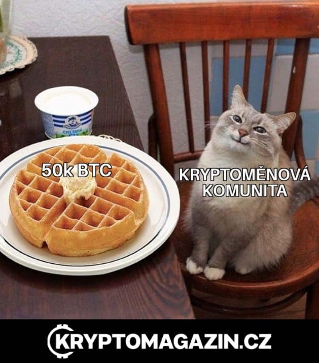 meme