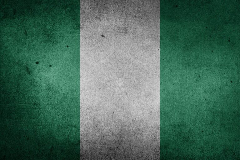 Nigérijská centrální banka vydává návrh pokynů k projektu eNaira