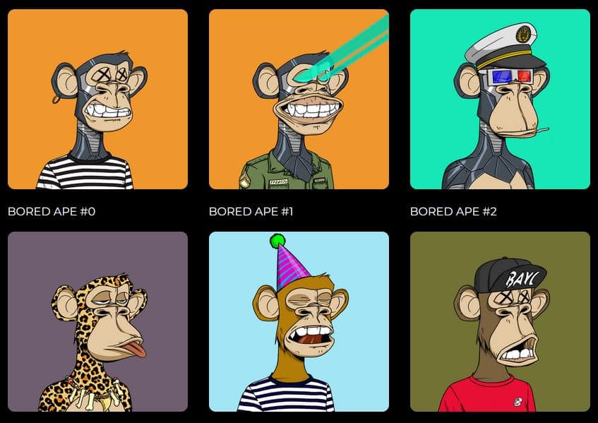 bored_ape