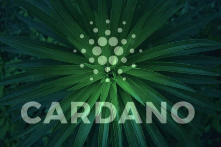 Cardano is ready for a massive rise, new data show