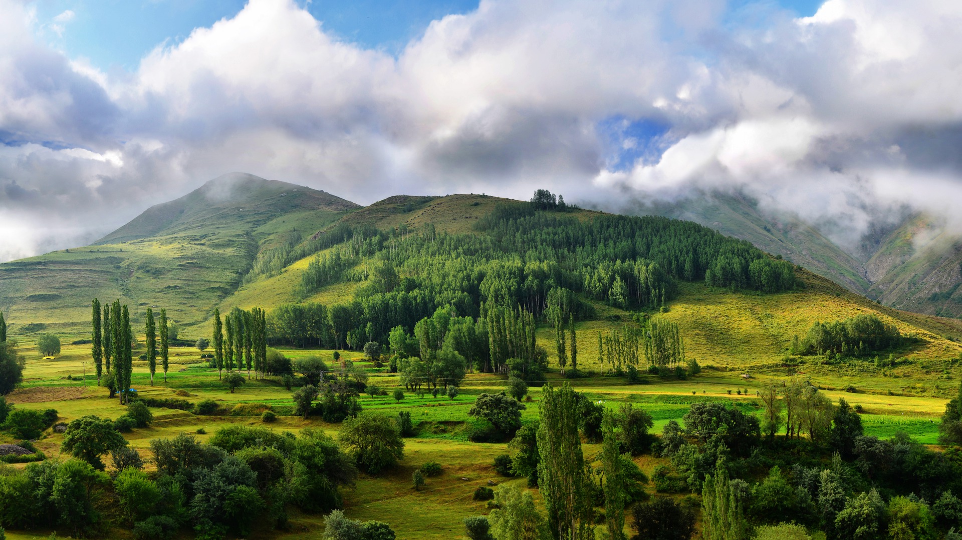 nature