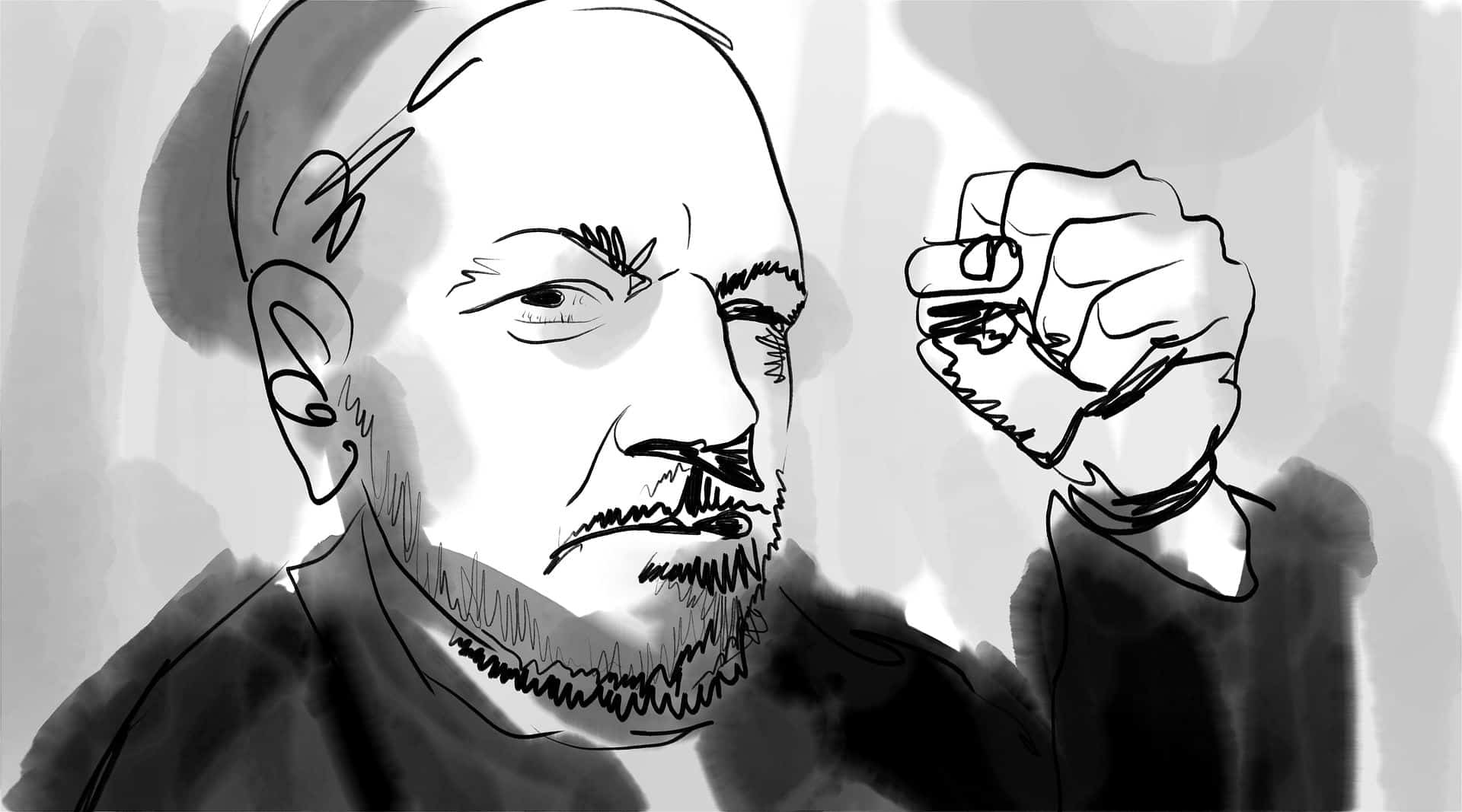 assange julian