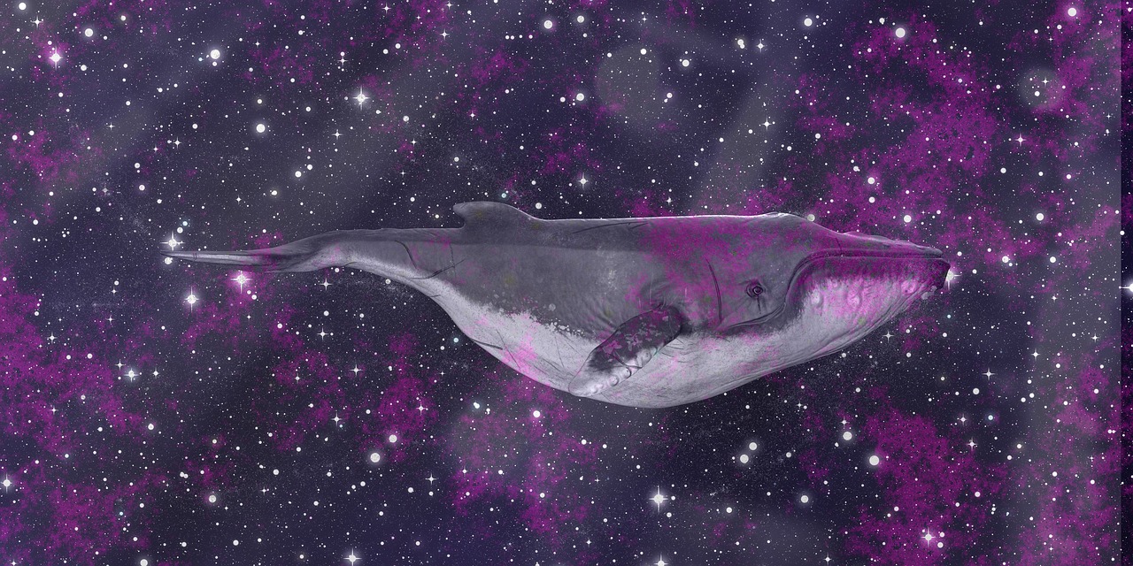 velryba whale vesmir