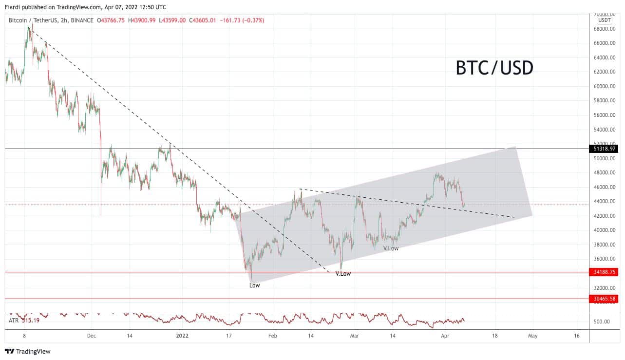 btc graph