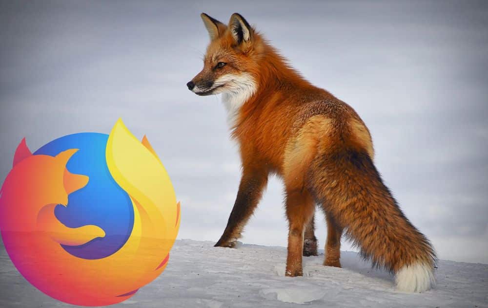 firefox