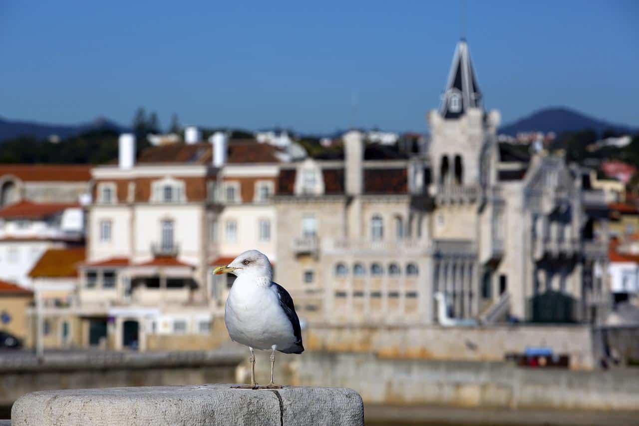 Portugalsko