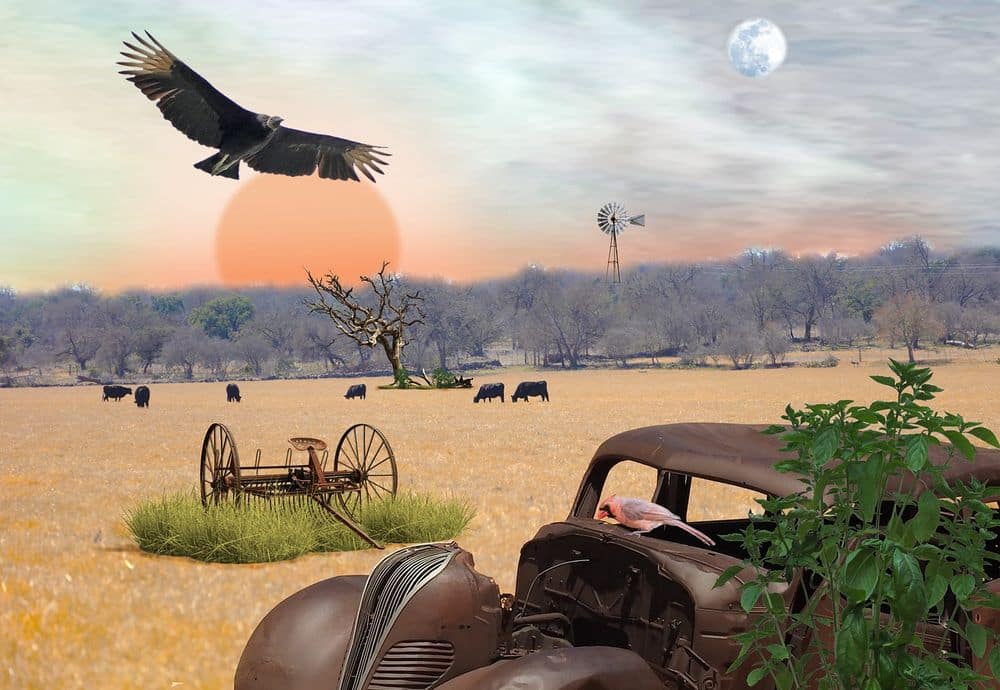 virtual metaverse land krajina pozemek
