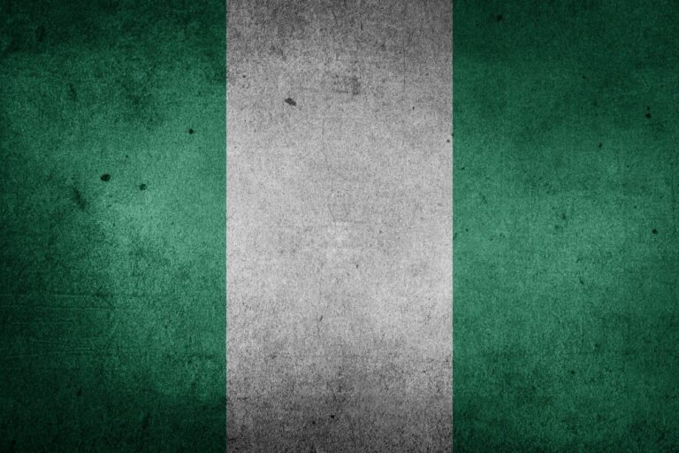 Nigérie se po dubnovém krachu stala národem nejvíce posedlým kryptoměnami