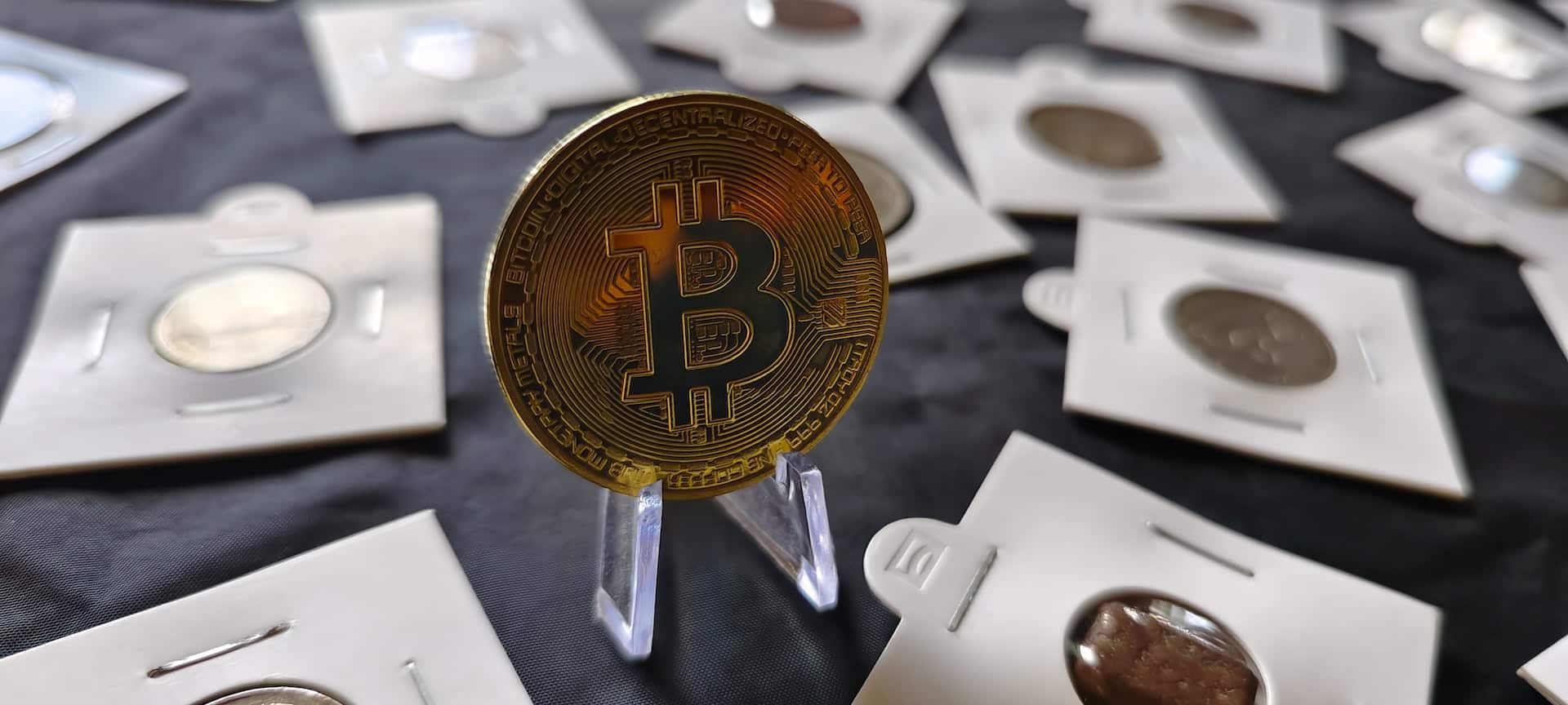 bitcoin lepard btc cena novogratz