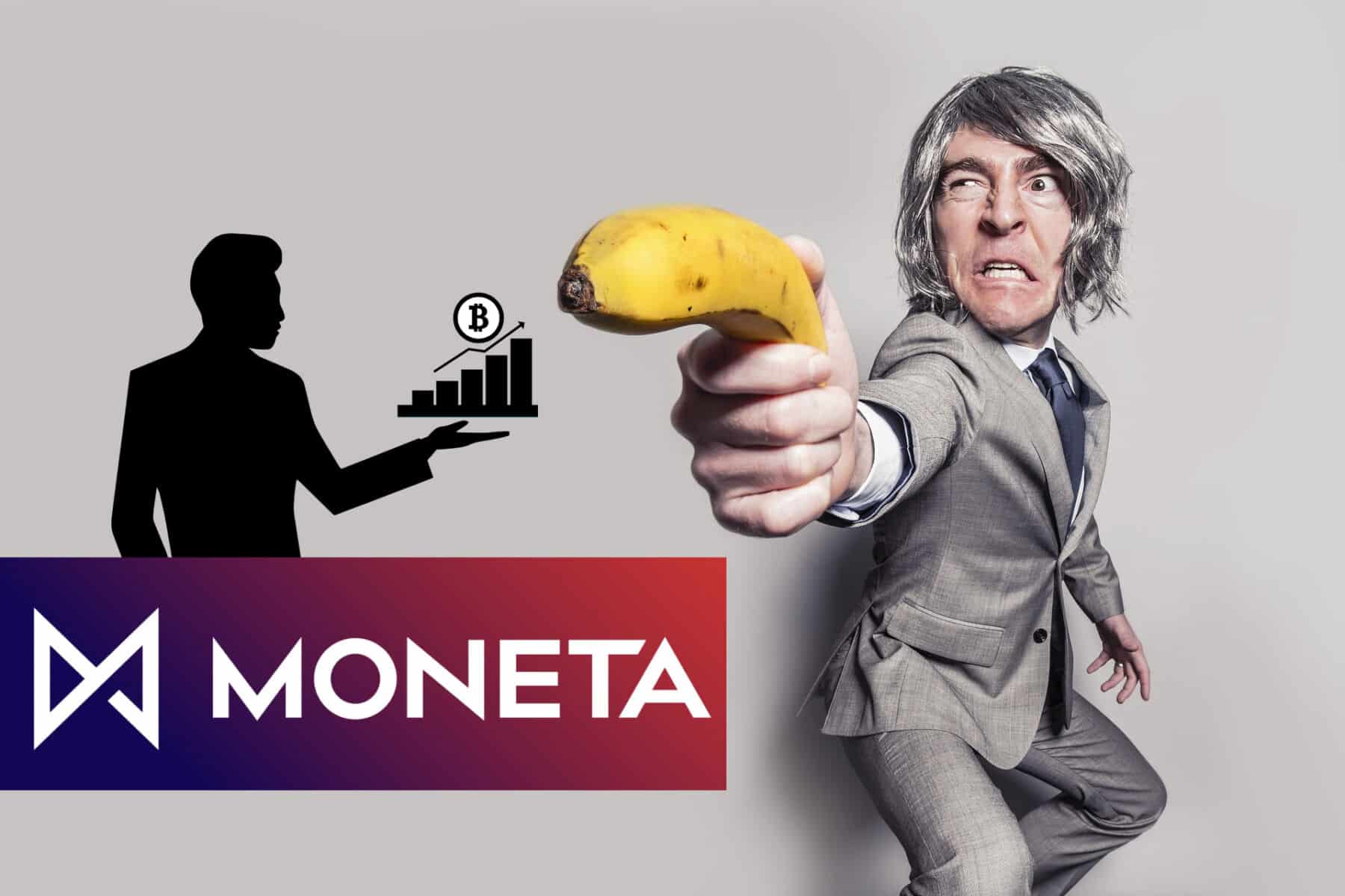 moneta-zakaz krypto