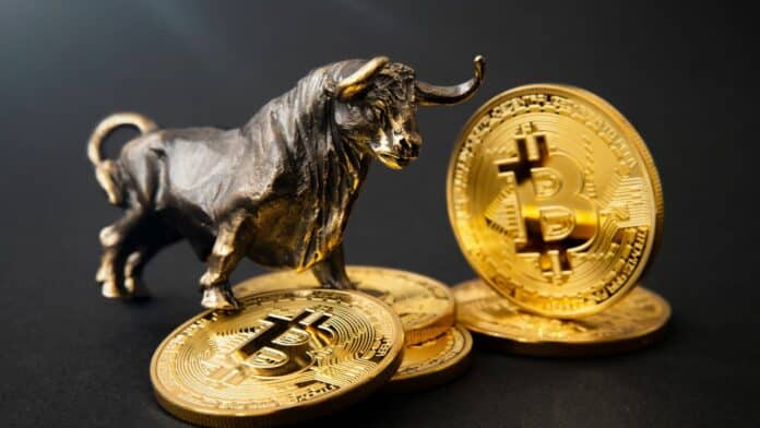 bitcoin btc erik voorhees býčí trh býk