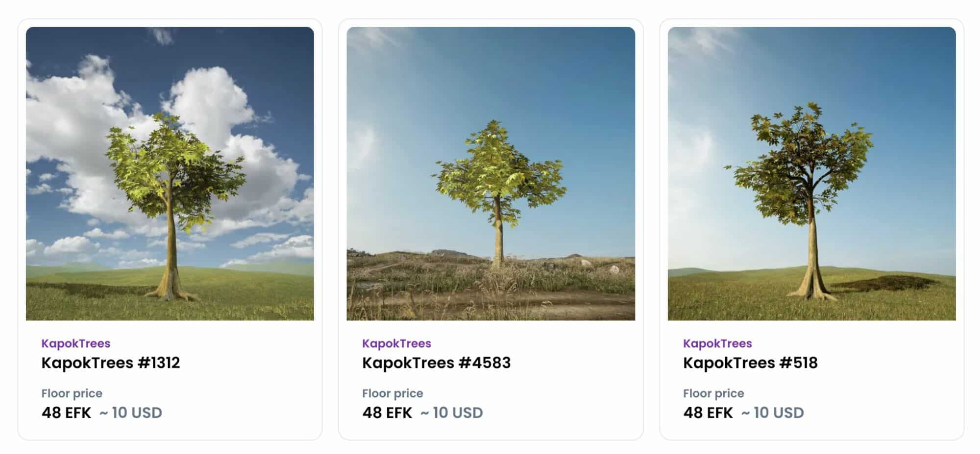 kapok trees