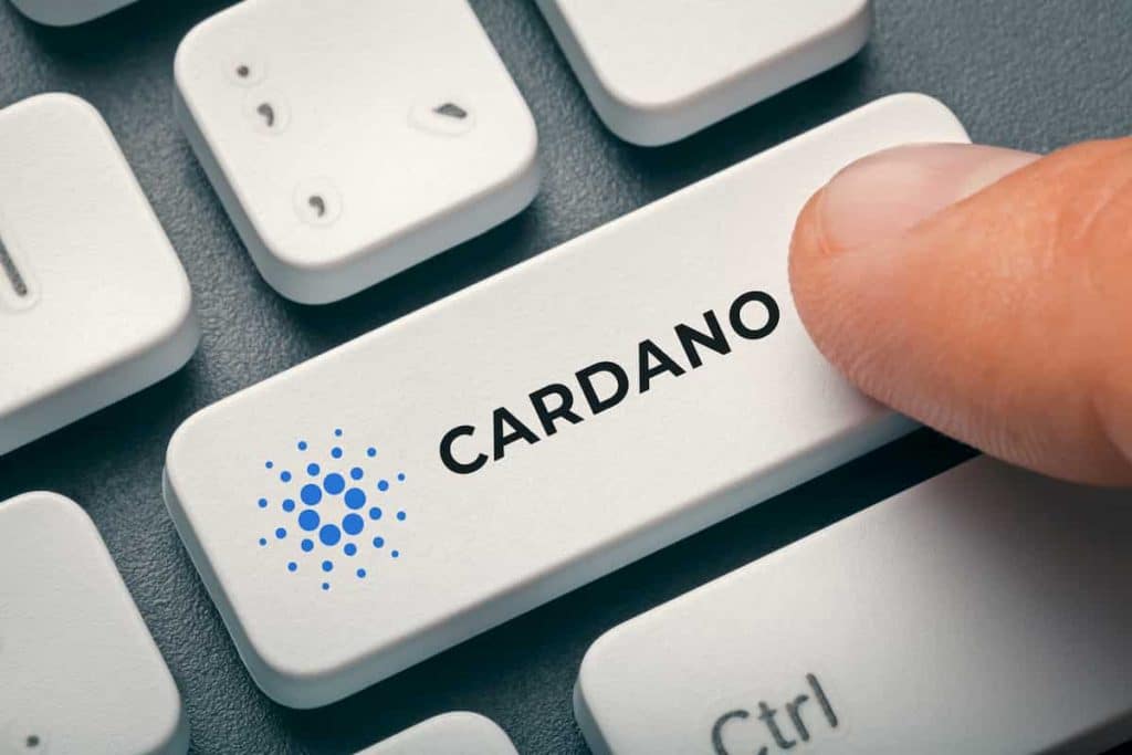 cardano klavesnice logo