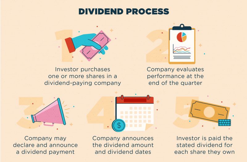 Jak fungují dividendové akcie