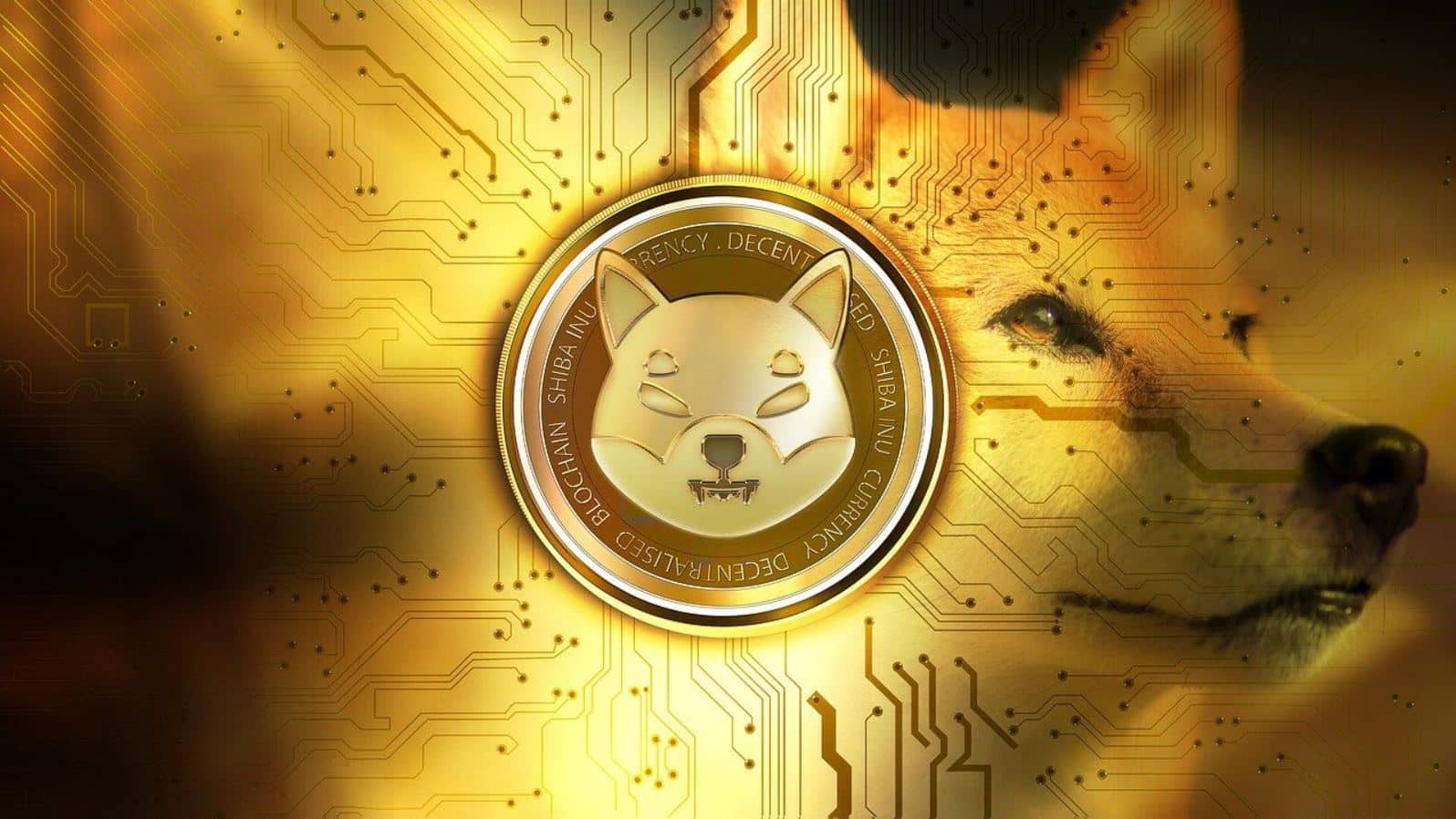 shiba inu puppynet net shib token testnet