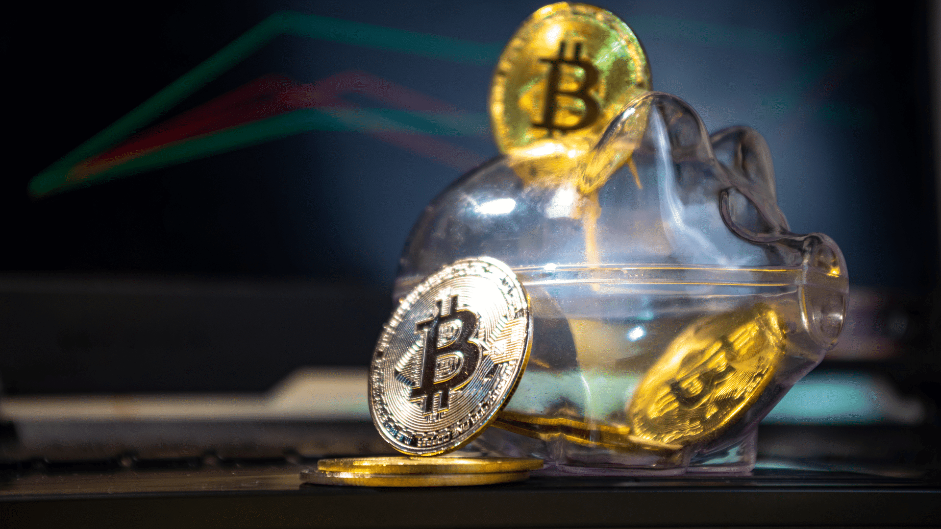 Bitcoin růst TOP 5