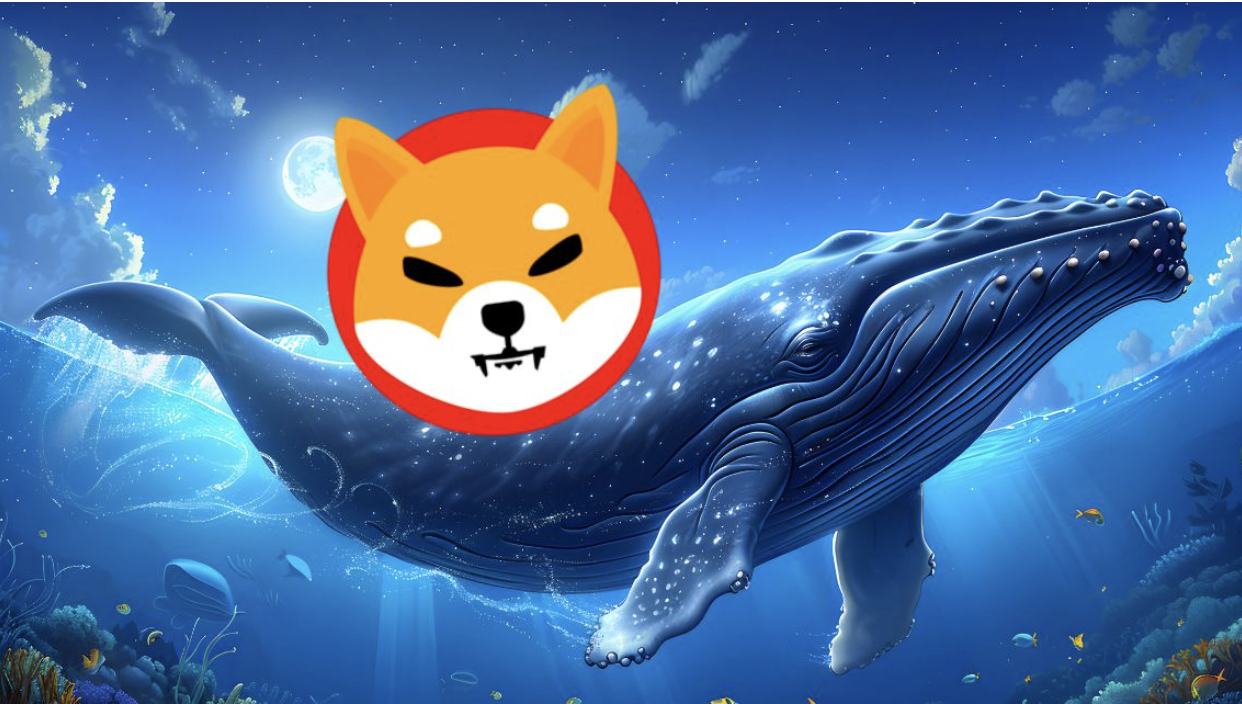 XYZ