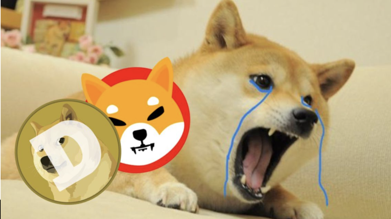 XYZ