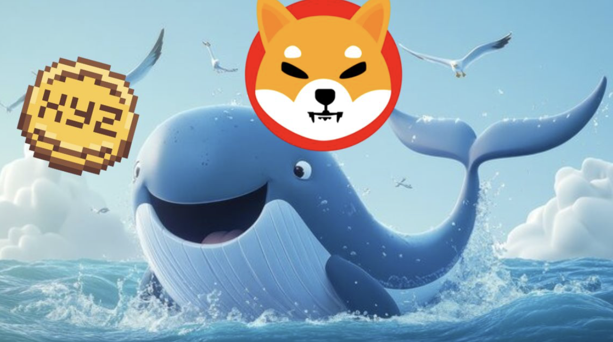 xyzverse