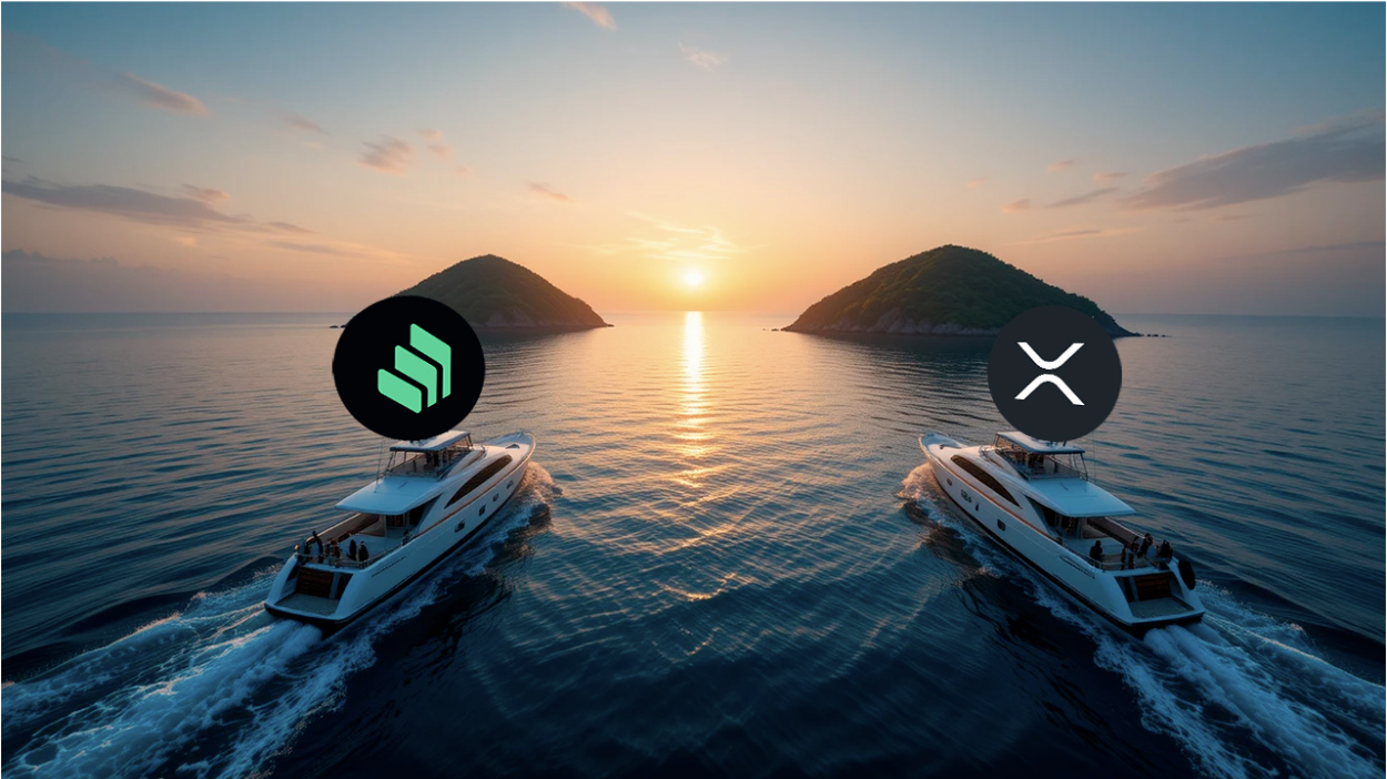 Minotaurus (MTAUR): Další velká věc po COMP & XRP