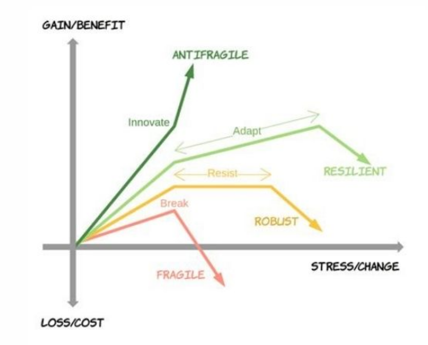 Fragilní, robustní a antifragilní aktiva v průběhu času pod tlakem nejrůznějších stresorů