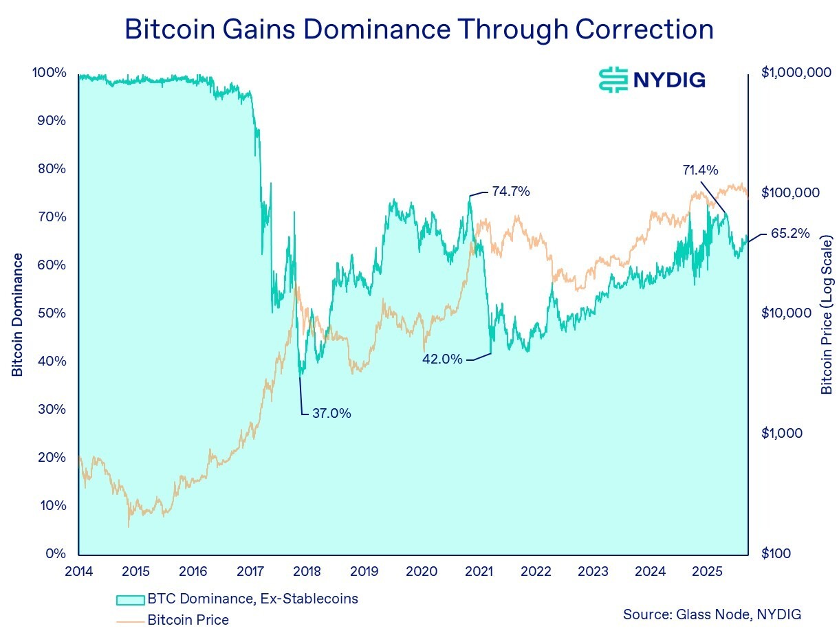 Dominance bitcoinu má tendenci během poklesů růst, protože kapitál se konsoliduje zpět do nejzavedenějšího a nejlikvidnějšího aktiva