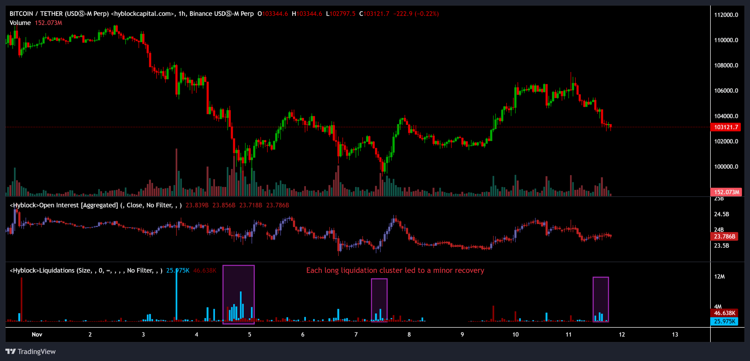 Cena bitcoinu, agregovaný open interest a úrovně likvidací.