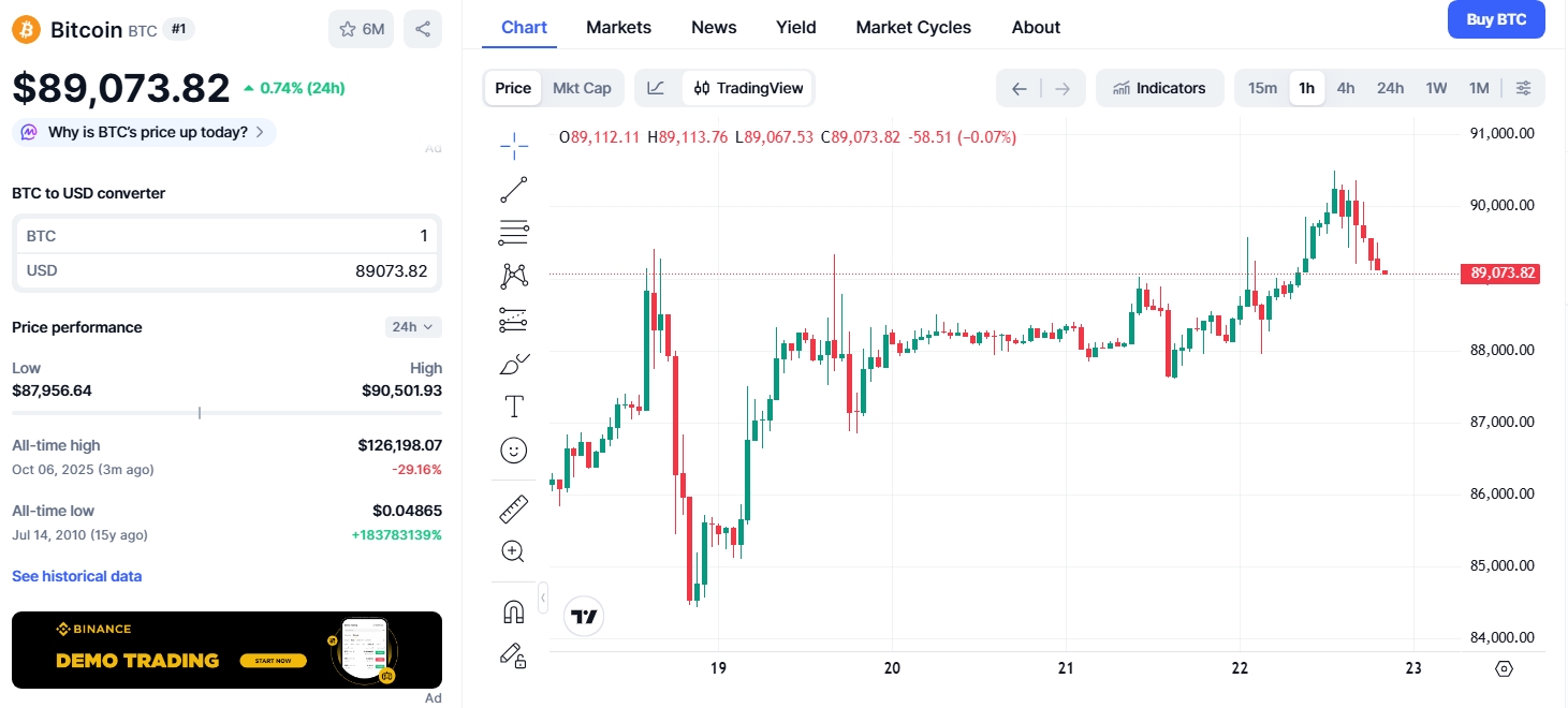 Hodinový cenový graf BTC/USD s aktuální cenou 89 073 USD.