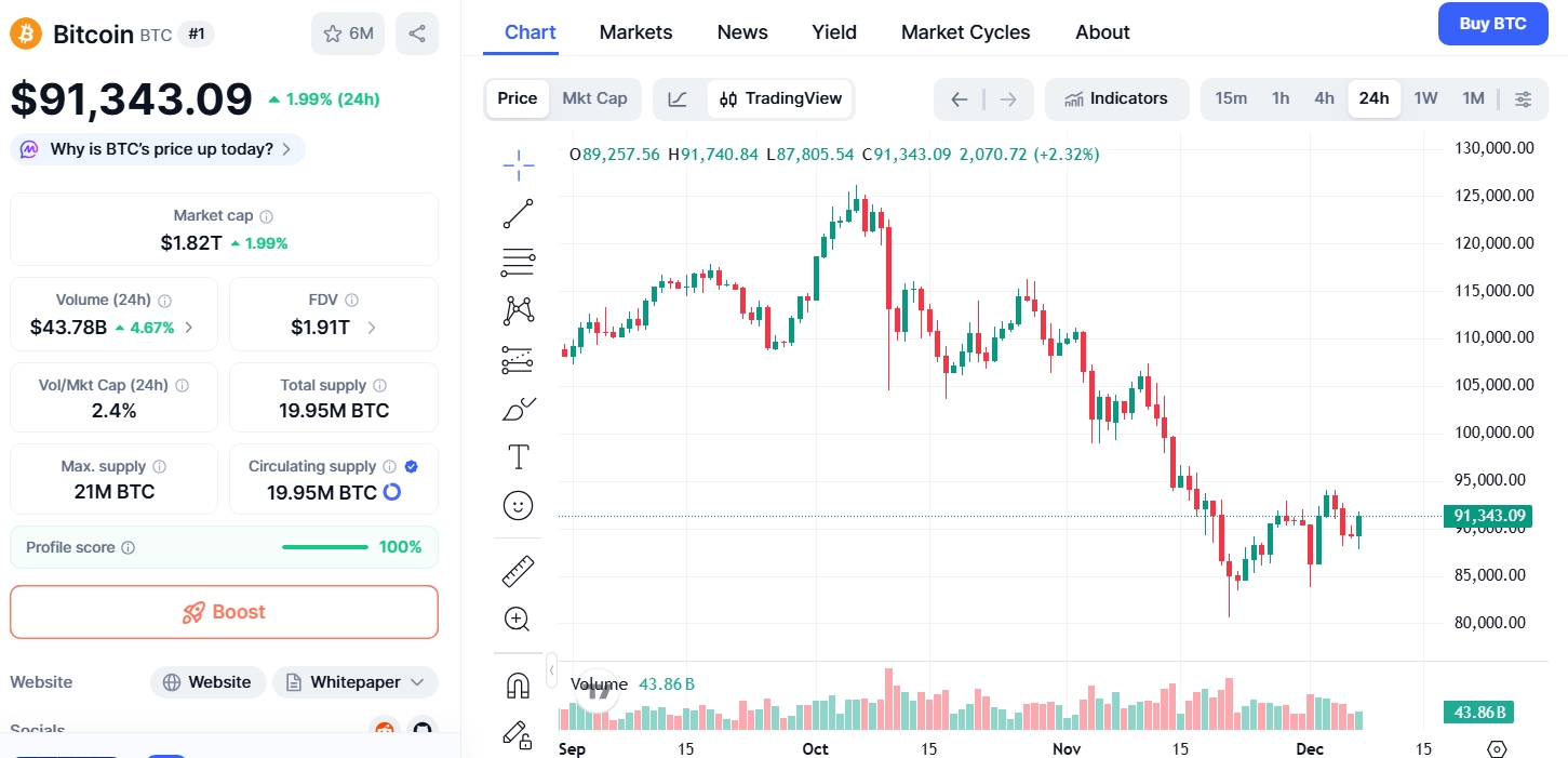 Jednodenní graf BTC/USD s aktuální cenou 91 343 USD.