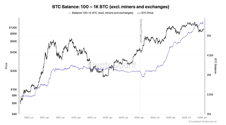 Velké BTC peněženky stále hromadí Bitcoin.