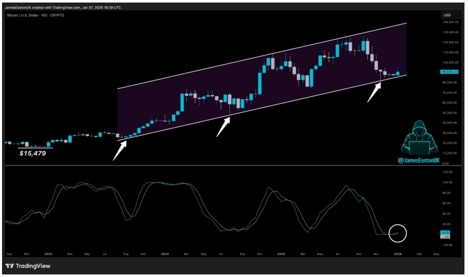 Dvoutýdenní graf na úrovni BTC/USD s daty o RSI.