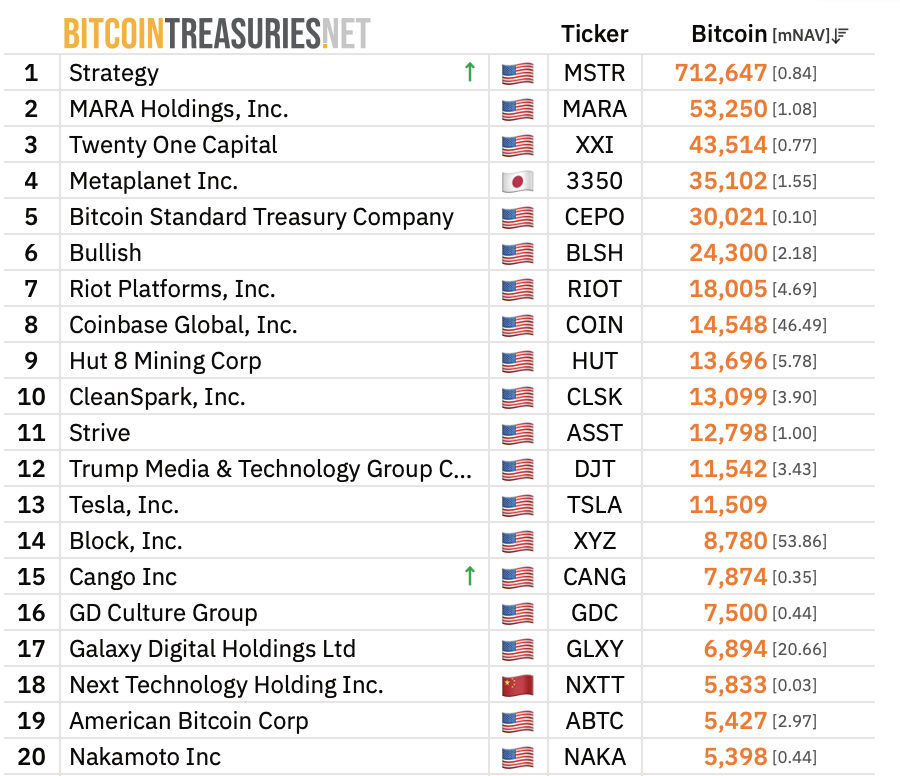 Deset největších firemních držitelů bitcoinu. Zdroj: bitcointreasuries.net
