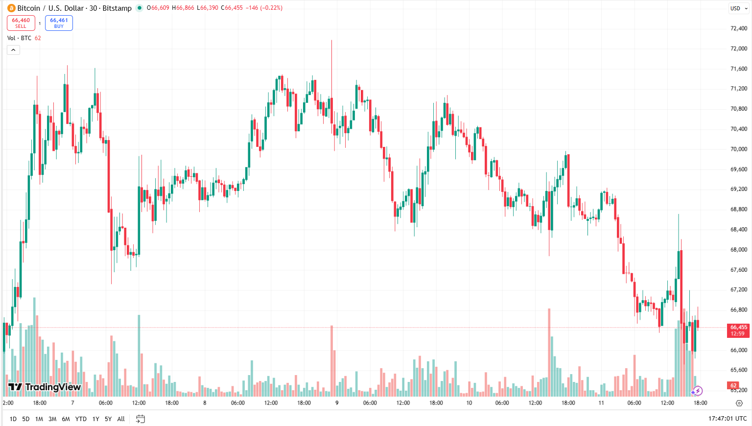 Cenový graf BTC/USD s aktuální cenou v době psaní článku ve výši 66 455 USD.