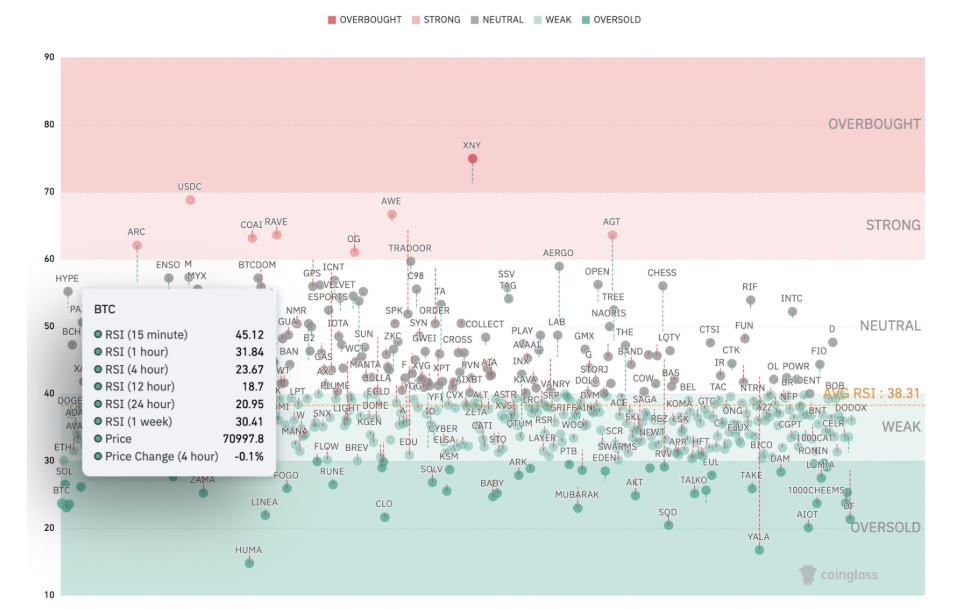 RSI heatmap kryptoměnového trhu.