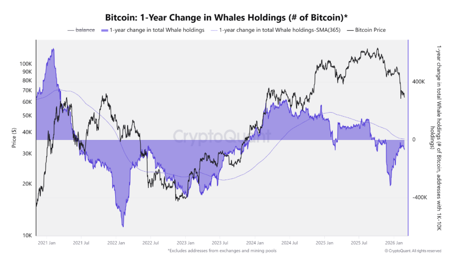 Meziroční změna množství BTC drženého velkými investory (velrybami).