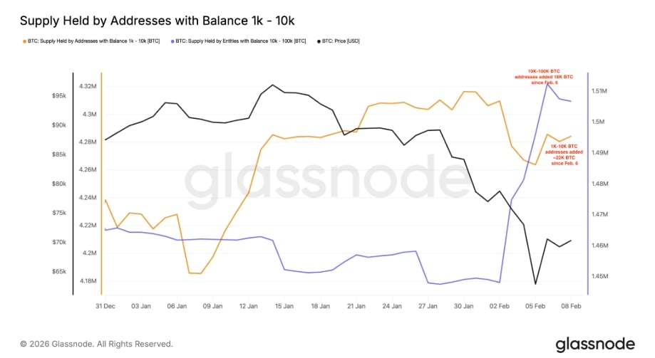 Uvedený graf ukazuje, že adresy, které drží 1 000–10 000 BTC, přidaly od pátku 22 000 BTC, zatímco ty s 10 000–100 000 BTC získaly za stejné období asi 18 000 BTC.
