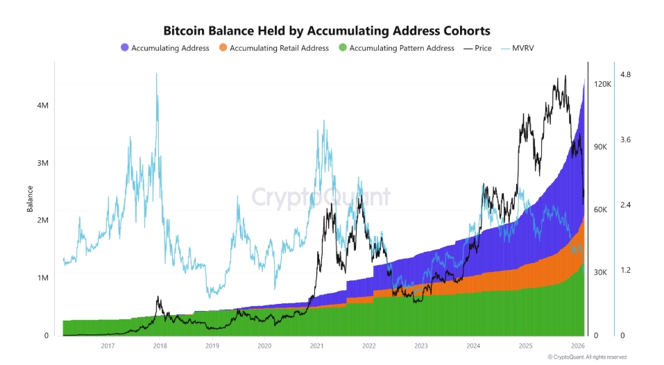 Množství Bitcoinu držené různými skupinami akumulačních adres.