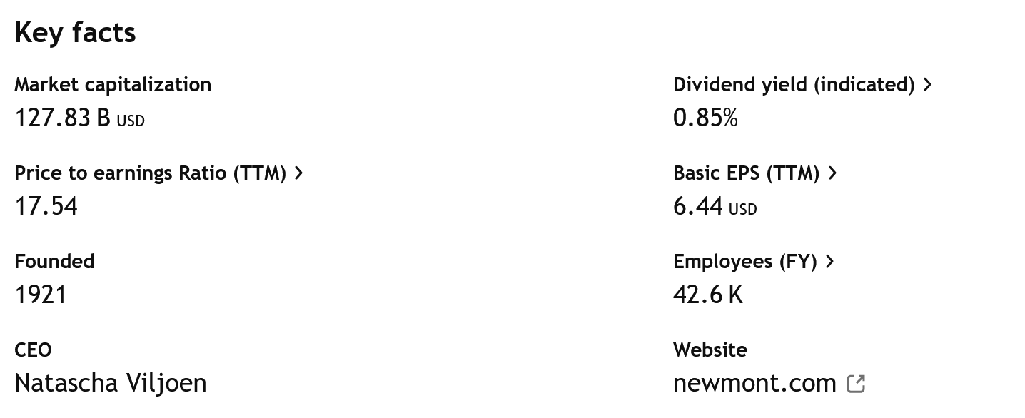 Klíčové údaje o společnosti Newmont – všimněte si především nízkého P/E.