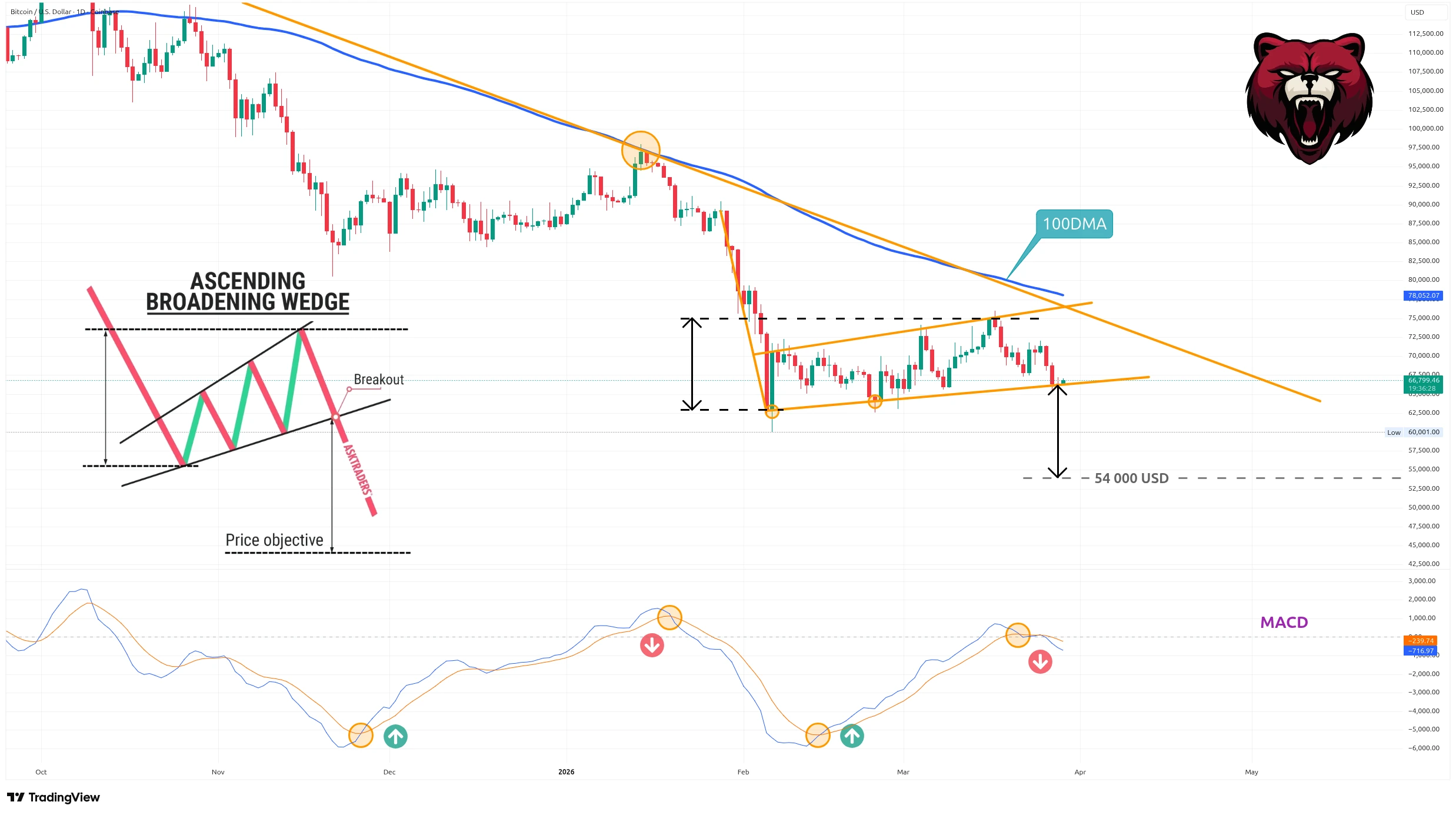 Denní graf kurzu ceny bitcoinu s medvědím vzorem a MACD (zdroj: TradingView).