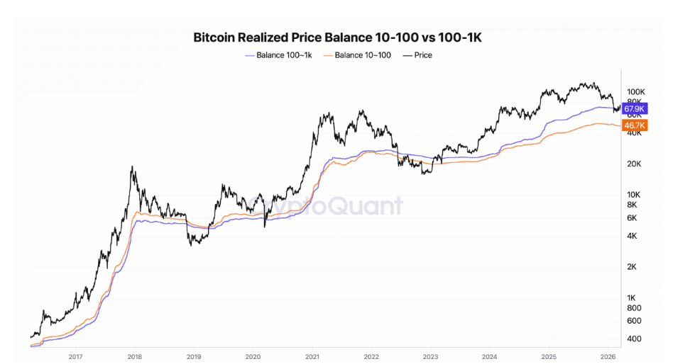 Bitcoin realized price balance of 10–100 vs 100–1K = Porovnání realizované ceny Bitcoinu mezi skupinami držitelů 10–100 BTC a 100–1 000 BTC. Pomáhá určit důležité supporty a pochopit, kde mohou jednotlivé skupiny reagovat (držet vs. prodávat).