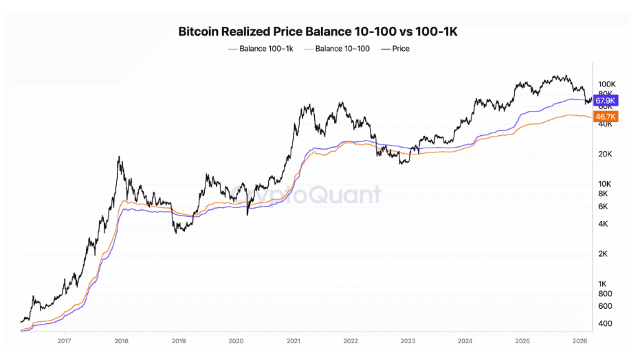 Bitcoin realized price balance (10–100 vs. 100–1K) porovnává průměrnou nákupní cenu (realized price) dvou skupin držitelů, 10–100 BTC (menší velryby) a 100–1 000 BTC (větší velryby). Porovnání těchto dvou skupin pomáhá odhadnout, kde jsou silné supporty a jak se chovají velcí hráči.