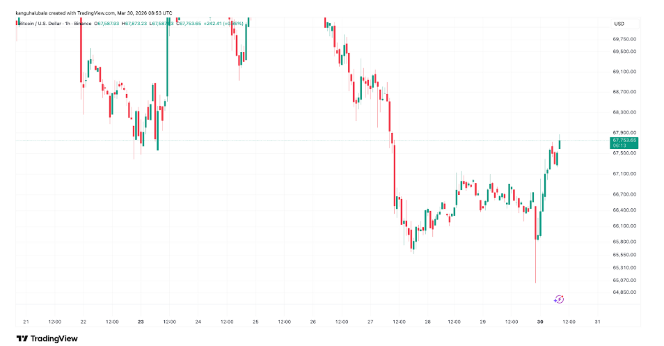 Hodinový graf BTC/USD s cenou nad 67 700 USD. Rezistence 69 000 - 70 000 USD je zatím pro BTC nedosažitelná.