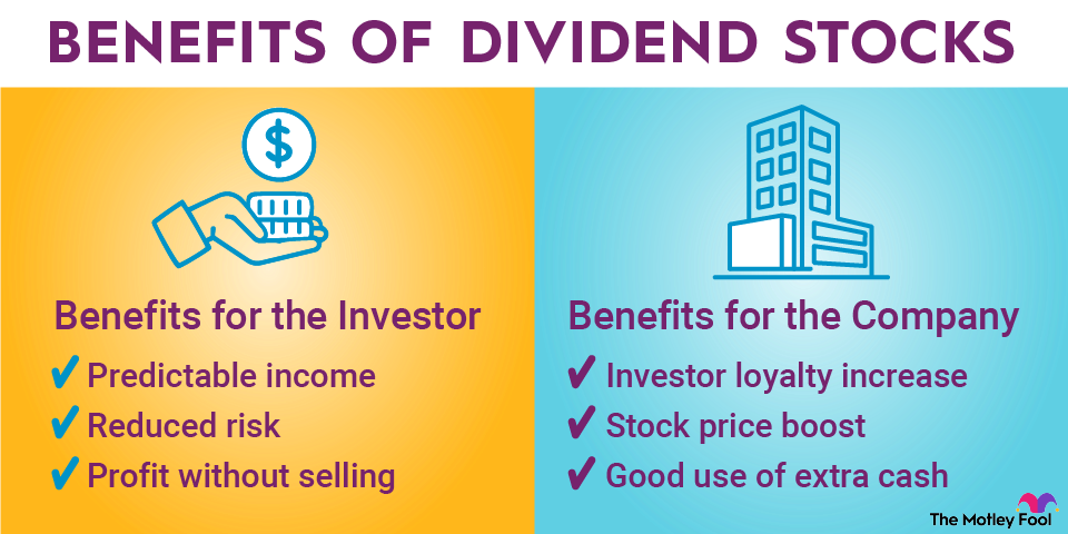 Benefity vyplácení dividend pro investory i samotné společnosti