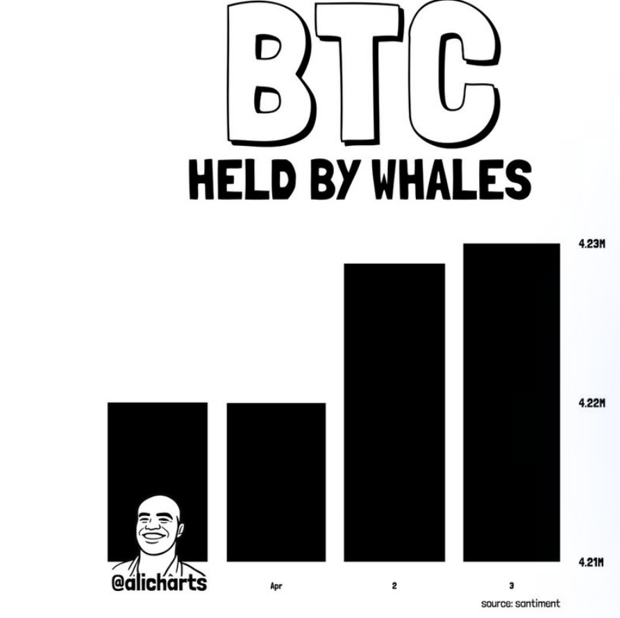 Akumulace bitcoinových velryb.