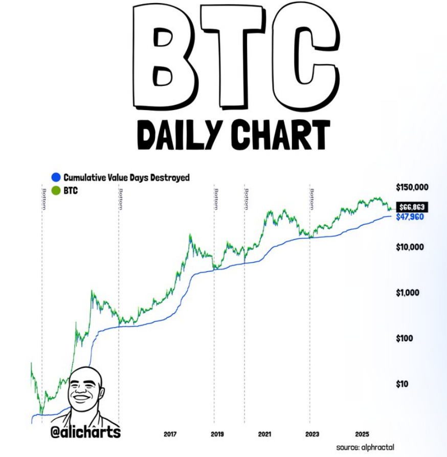 Graf analýzy ceny bitcoinu. V době akumulace velryb se cena pohybovala kolem 66 800 USD.