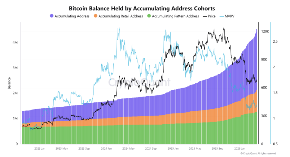 Zůstatek BTC držený akumulačními adresami Jde o metriku, která sleduje, kolik bitcoinů drží adresy, jež dlouhodobě nakupují a téměř neprodávají. Ukazuje, jak silná je akumulace na trhu. Rostoucí hodnota znamená, že investoři hromadí BTC a stahují ho z oběhu, což může snižovat prodejní tlak a podporovat růst ceny.