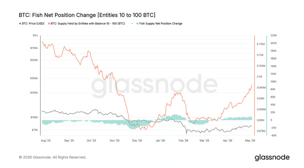 Změna čisté pozice „ryb“ (BTC) vs. cena. Ukazuje, jak menší investoři („fish“) nakupují nebo prodávají bitcoin ve vztahu k jeho aktuální ceně.